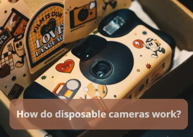 How do disposable cameras work?